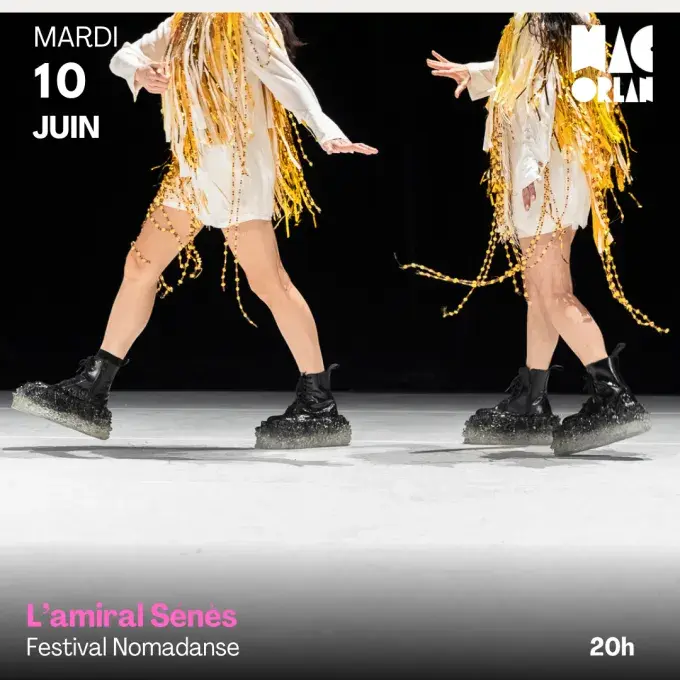 L'amiral Sénès 