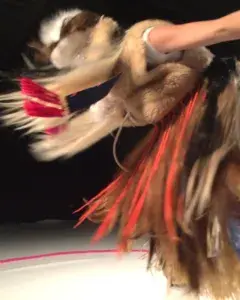 Grrrr